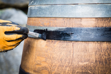 Barrel restoration, a man painting an old wine barrel. Half barrel for plants and garden.