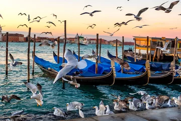 Foto op Plexiglas Sunrise over St Giorgio Maggiore and Birds over the Grand Canal, Venice, Italy © vlamus