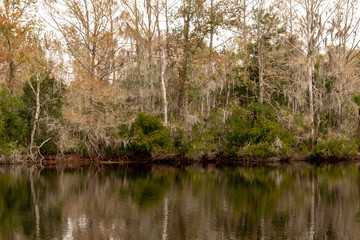Fototapeta na wymiar Econ River in Orlando Florida in January 