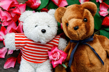 Two Toy bear doll have falling in love with Rose petals background in  valentine day.
