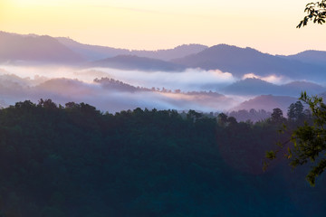 The Morning Mist at Sukothai in Thailand