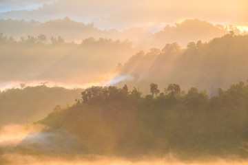 The Morning Mist at Sukothai in Thailand