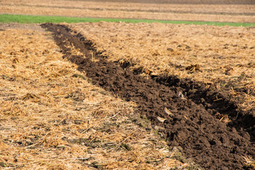 The field fertilized by manure is re-plowed by a tractor plow