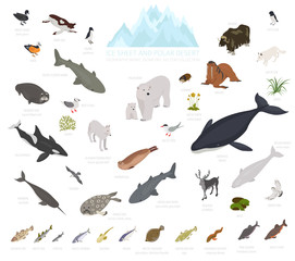 Ice sheet and polar desert biome. Isometric 3d style. Terrestrial ecosystem world map. Arctic animals, birds, fish and plants infographic design © a7880ss