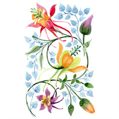 Ornament floral botanical flower. Watercolor background illustration set. Isolated ornament illustration element.