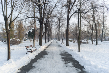 Winter in park in Europe with snow in winter during daytime 