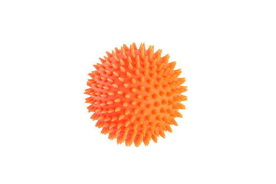 Orange ball for dog teeth isolated on white background. Dog's toy for gnawing.
