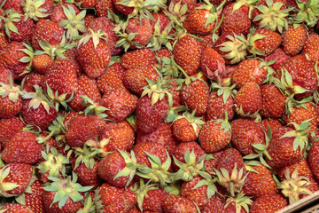 A lot of fresh red strawberry closeup. Concept of healthy vegan food.