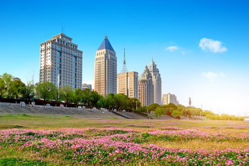 Modern urban landscape