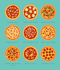 Set of nine types of pizza: BBQ Chicken, Hawaiian, Margherita, Meat Feast, Napoli, Pepperoni, Seafood, Vegetarian, Sausage-and-olives Pizzas. Flat style vector illustration.
