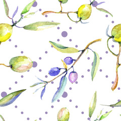 Olive watercolor illustration set. Green leaf. Leaf plant botanical floral foliage. Seamless background pattern.