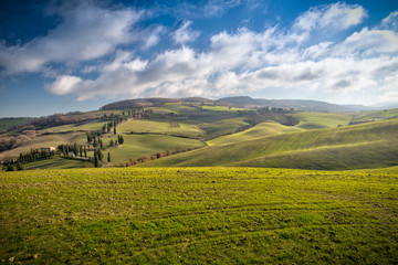 Fototapeta premium Tuscany landscape