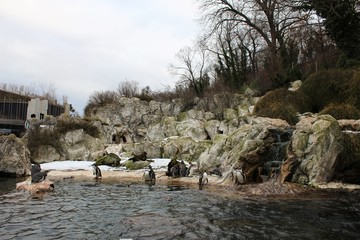 Vienne
