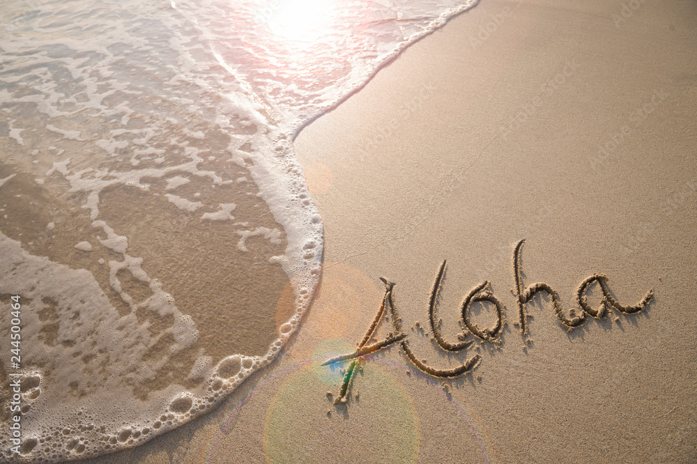 Wall mural Aloha tropical vacation message handwritten on a smooth sand beach with incoming wave