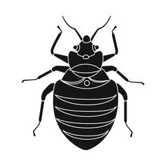 Vector design of insect and fly sign. Collection of insect and element stock symbol for web.