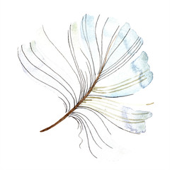 White bird feather from wing isolated. Watercolor background illustration set. Watercolour drawing fashion aquarelle.