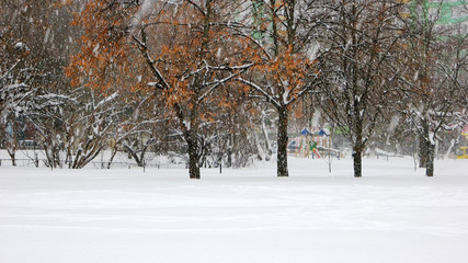 Beautiful winter park. Falling snow against trees. Snow covered ground in the park. Winter season concept.