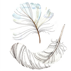 Obraz premium White bird feather from wing isolated. Watercolor background illustration set. Watercolour drawing fashion aquarelle.
