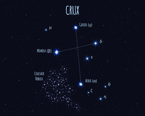 Crux (The Southern Cross) constellation, vector illustration with the names of basic stars against the starry sky