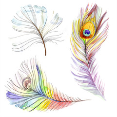 Colorful bird feather from wing isolated. Watercolor background illustration set. Watercolour drawing fashion aquarelle.