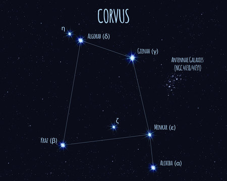 Corvus (The Raven) constellation, vector illustration with the names of basic stars against the starry sky