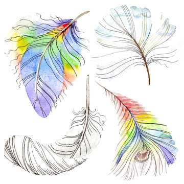 Colorful bird feather from wing isolated. Watercolor background illustration set. Watercolour drawing fashion aquarelle.