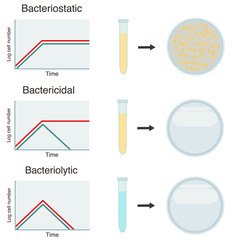 bacteriolytic, bactericidal and bacteriostatic antibiotic 