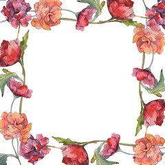 Red poppy floral botanical flower. Watercolor background illustration set. Frame border ornament square.