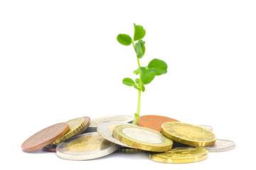 Coins isolated on white. Jewish charity concept. Tzedakah, translated like charity. A photo of...