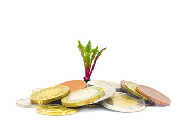 A photo of money, heap of euro coins and a small green sprout growing from the coins. Business...
