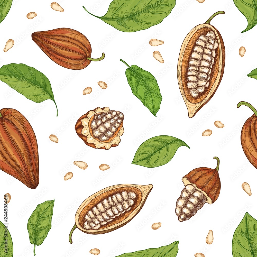Poster natural seamless pattern with whole and cut ripe pods or fruits of cocoa tree, beans and leaves on b