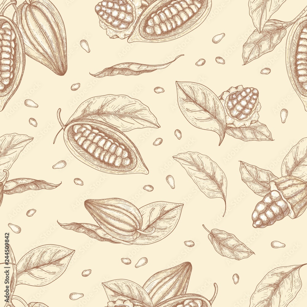 Aufkleber botanical seamless pattern with pods or fruits of cocoa tree, beans and leaves hand drawn with conto