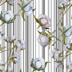 White cotton floral botanical flower. Watercolor background illustration set. Seamless background pattern.