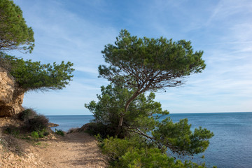 The coast of l'ametlla de mar on the coast of tarragona