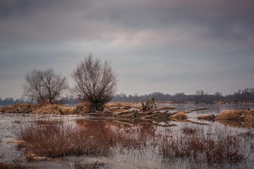 Vistula river at cloudy day somewhere in Poland