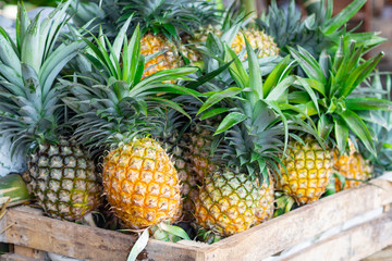 Close-up of Fresh Pineapples.