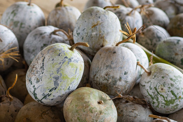 Close up Of Winter melon (Benincasa hispida) for sale at local market.