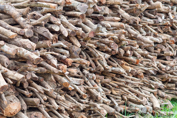 Stacks of firewood.