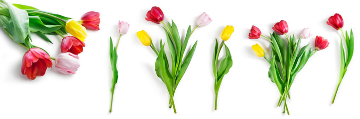 tulip flowers set isolated on white with clipping path included - obrazy, fototapety, plakaty