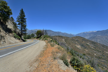 Empty road in Kings Canyon National Park, California, USA