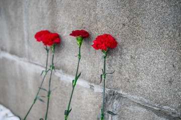 The tragedy of the innocent victims. The memory of the victims. A symbol of mourning. The loss from...