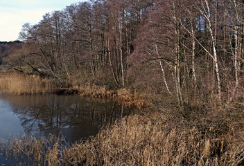 ein Wintertag in der östlichen Steinhuder Meer Niederung