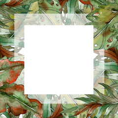 Green palm beach tree leaves jungle botanical. Watercolor background illustration set. Frame border ornament square.