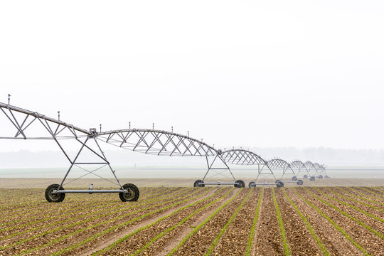 Side view of a center pivot irrigation system in a young field of corn in the french countryside by a misty spring morning. - Powered by Adobe