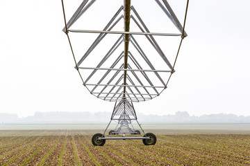 View from below of a center pivot irrigation system in a young field of corn in the french countryside by a misty spring morning.