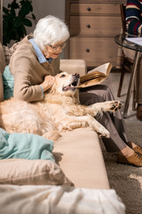 Portrait of adorable senior woman hugging dog sitting on couch and enjoying retirement in living...