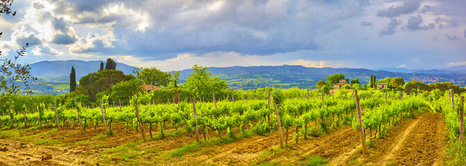 Fototapeta na wymiar Beautiful Tuscany panorama, in the Chianti area.