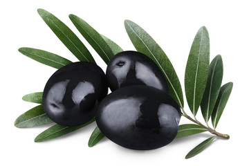 Delicious black olives with leaves, isolated on white background