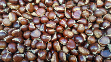 Fresh chestnuts as background