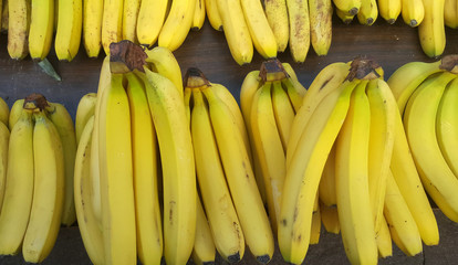 Bananas for sale